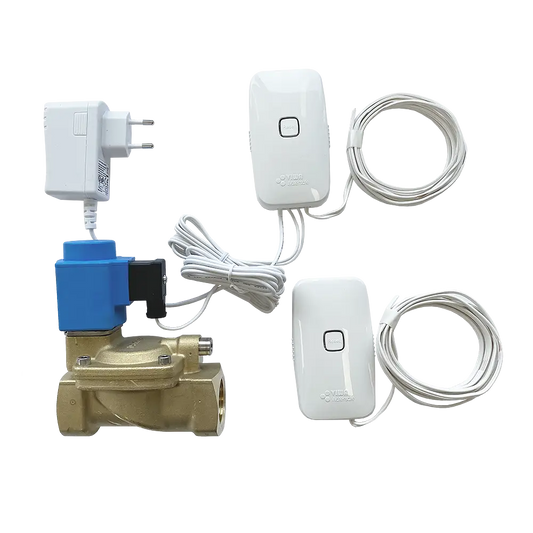 Läckagebrytare trådlöst, en ventil 1", batteridriven sensor