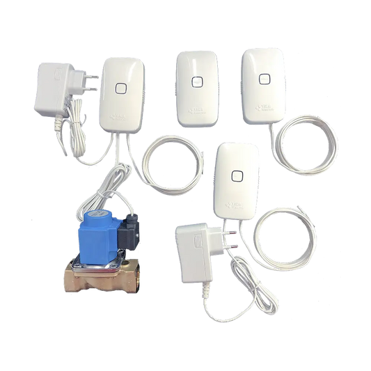 Villa paket
